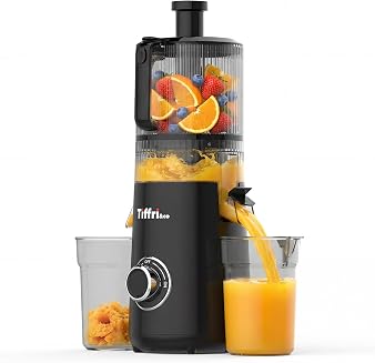 Cold Press Slow Masticating Juicer