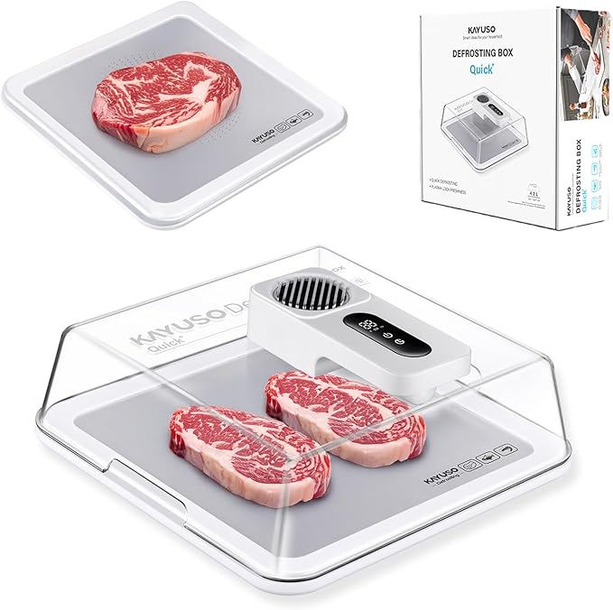 Why Everyone Is Obsessed With The Timable Defrosting Tray for Frozen Meat? (Viral Everyday Hack)