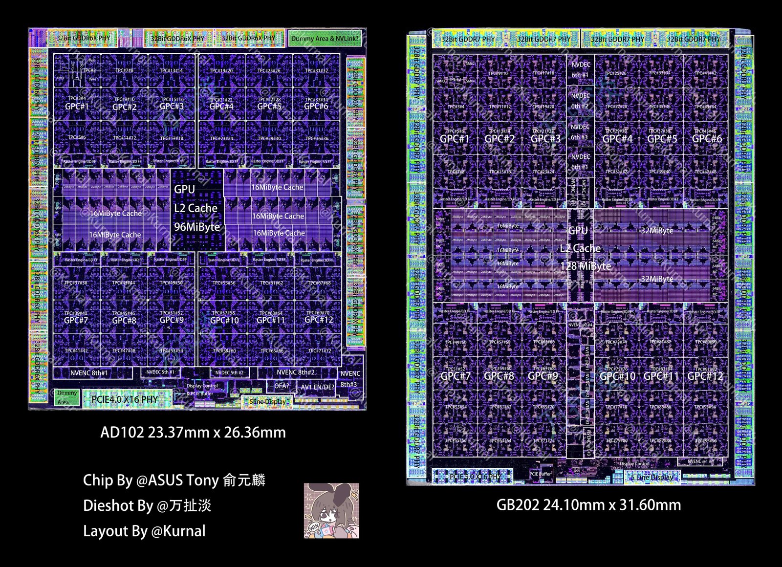 NVIDIA Blackwell GB202 Flagship Monolithic Silicon Architecture